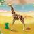 Wiltopia - Giraffe